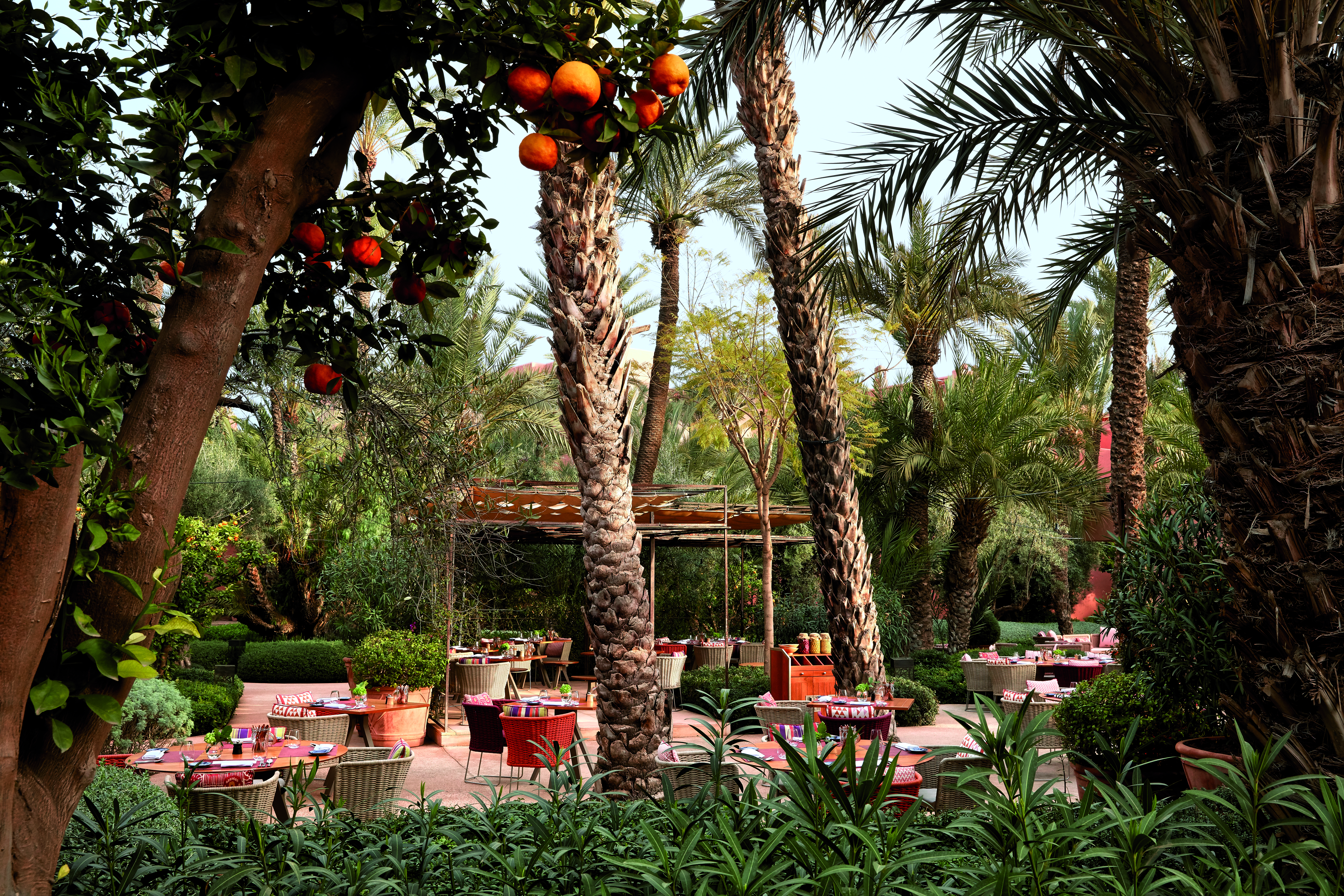 the mesmerizing morocco